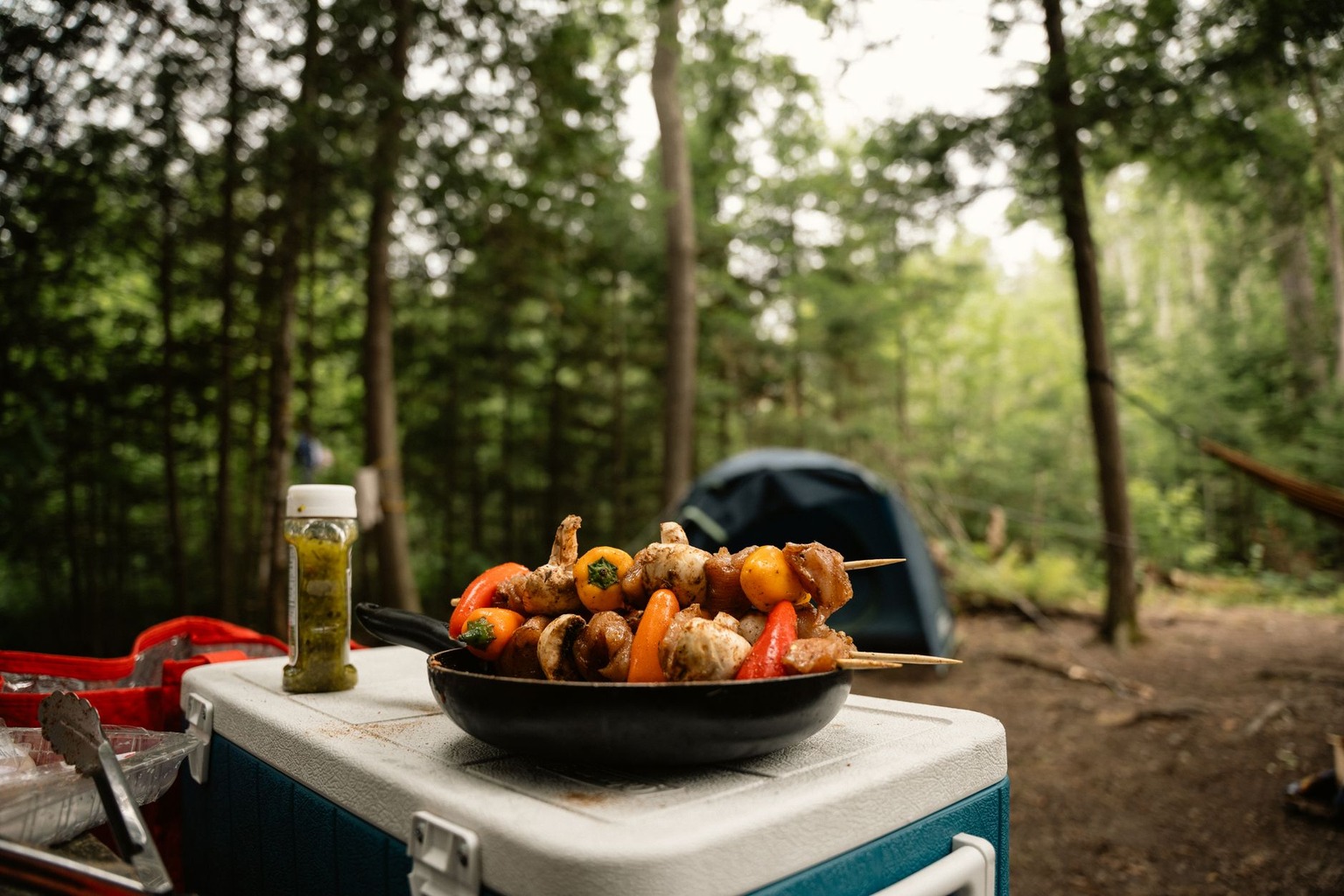 How to Keep Food Fresh During Extended Car Camping Trips