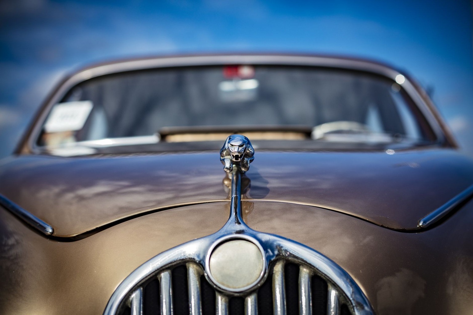 Upcoming Car Shows Near You This Weekend — How to Network Like a Pro at Car Shows